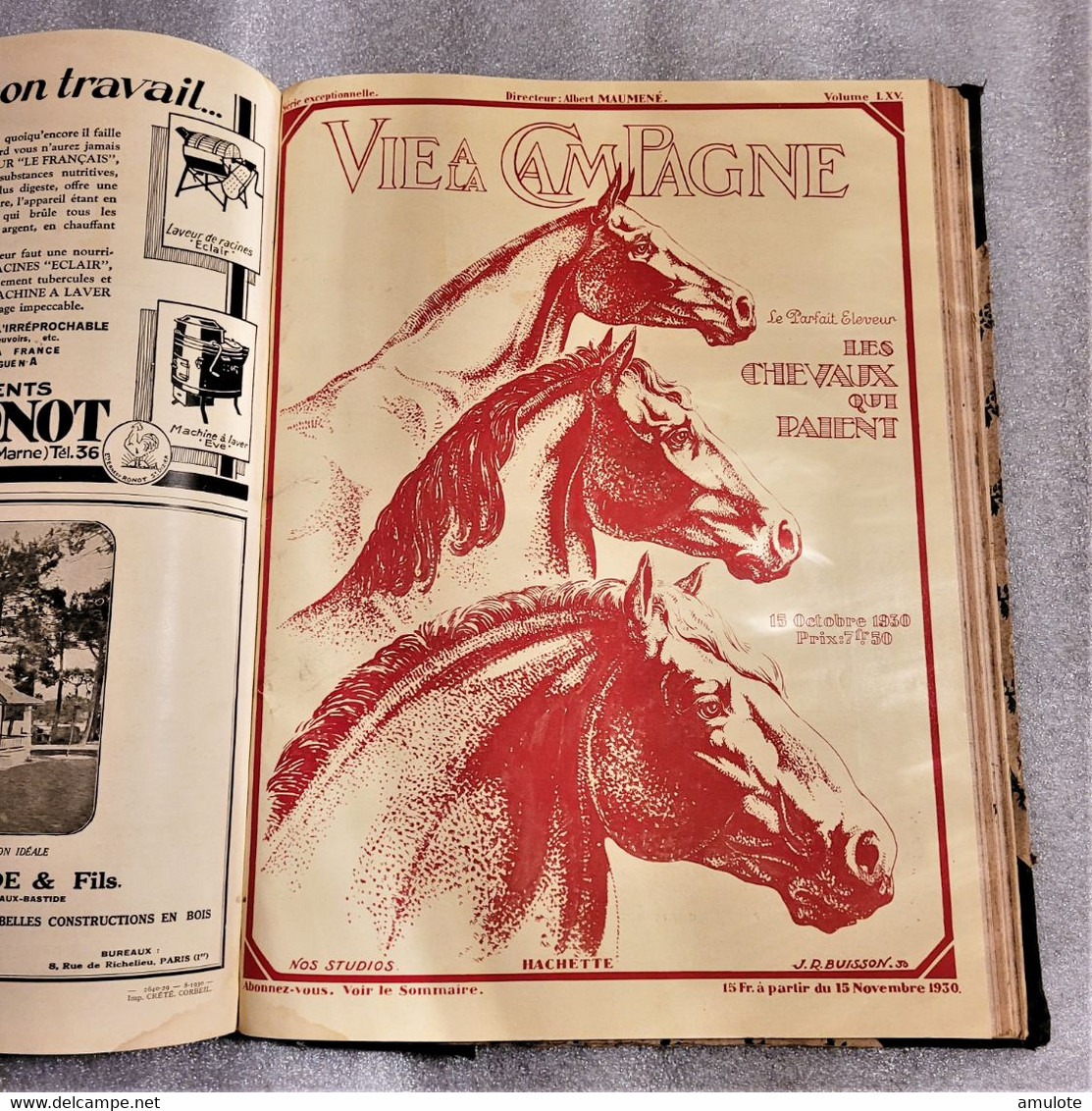 La Vie à La Campagne- Volume LXI Au  Volume LXVI  - Numéros Spéciaux - 1930 Hachette - Garden