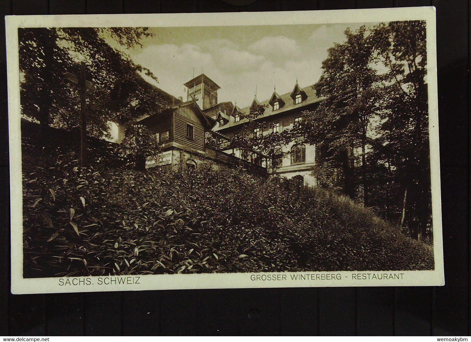 DR: Ansichtskarte Aus Der Sächsischen Schweiz Mit Restaurant Großer Winterberg Um 1920 - Schmilka