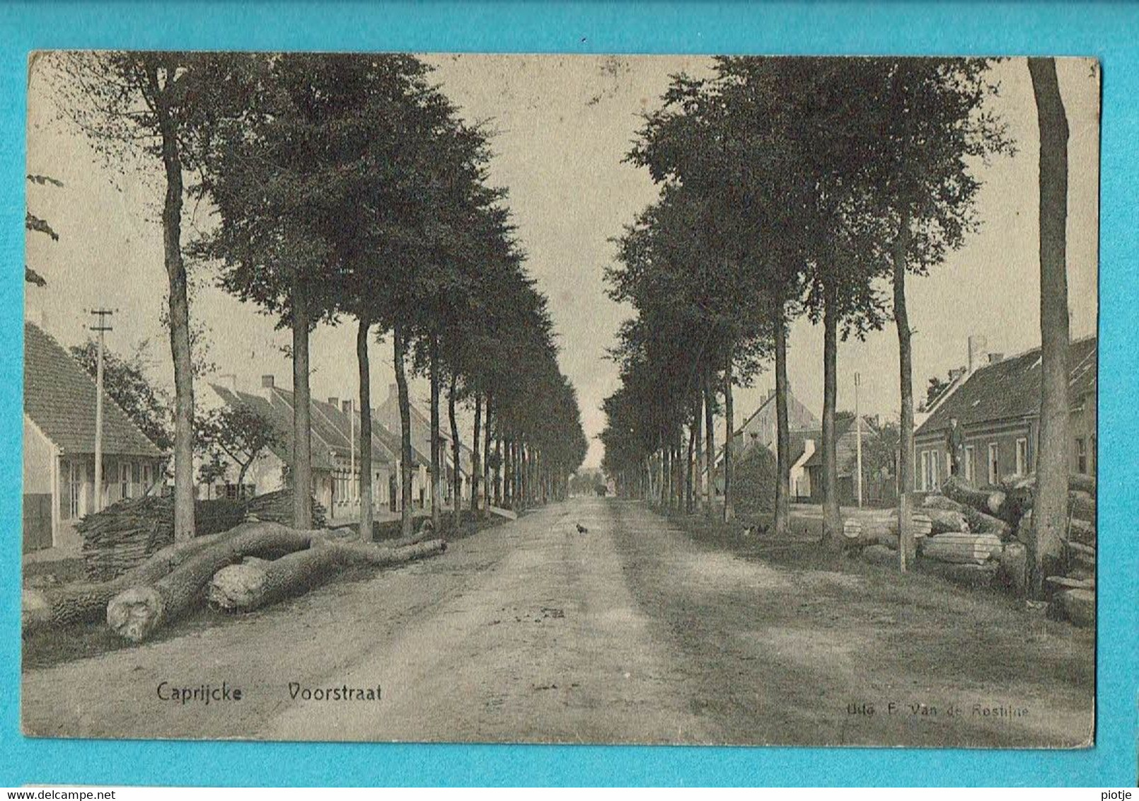 * Kaprijke - Caprijcke (Meetjesland - Oost Vlaanderen) * (Uitg F. Van De Rostijne) Voorstraat, Arbres, Unique, TOP, Rare - Kaprijke