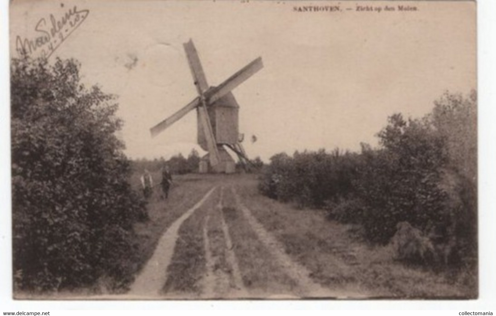 1 Oude Postkaart Santhoven Zandhoven  Zicht Op Den Molen 1920 - Zandhoven