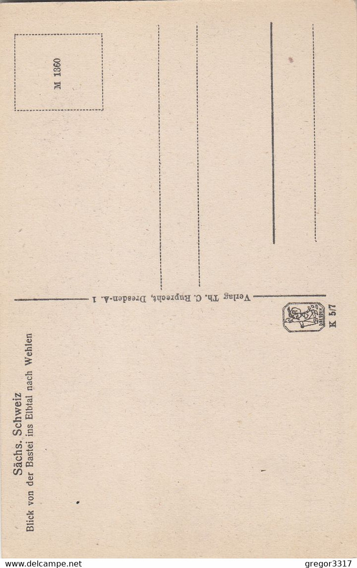 C268) Sächs. Schweiz - Blick Von Der BASTEI Ins Elbtal Nach WEHLEN - Alt 1 - Wehlen