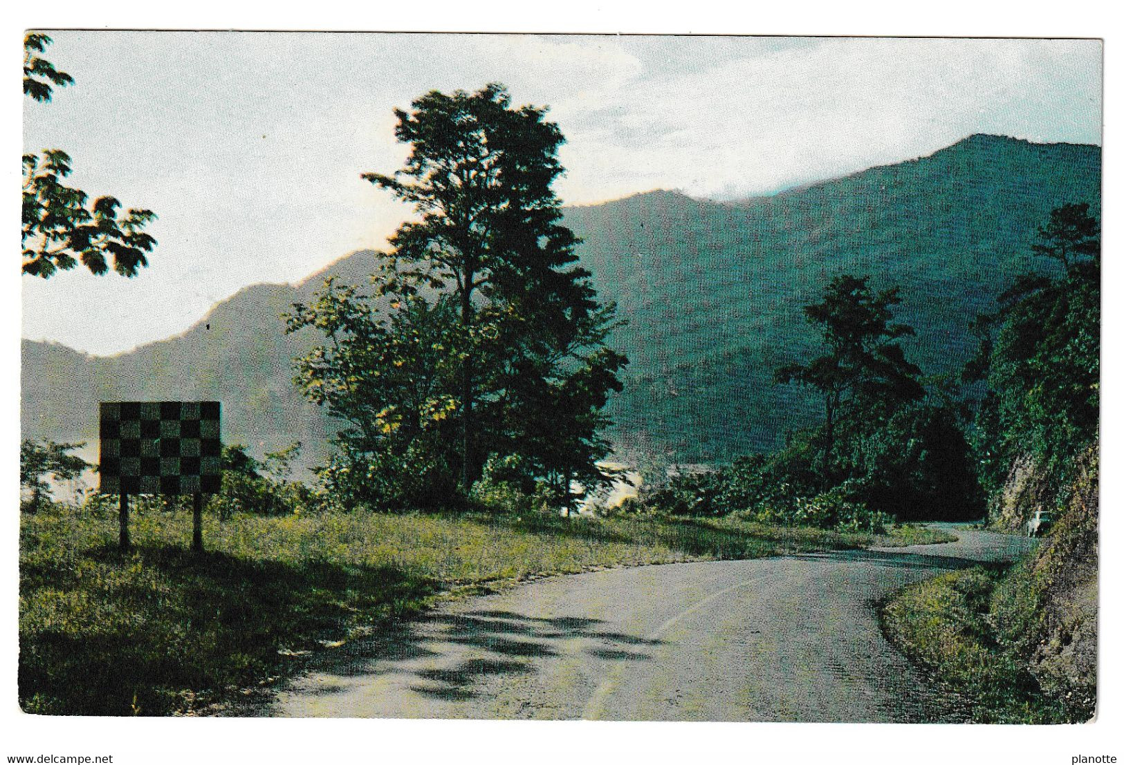 TRINIDAD - North Coast Road To Maracas Bay -  Standart Pc 1960/70s - - Trinidad