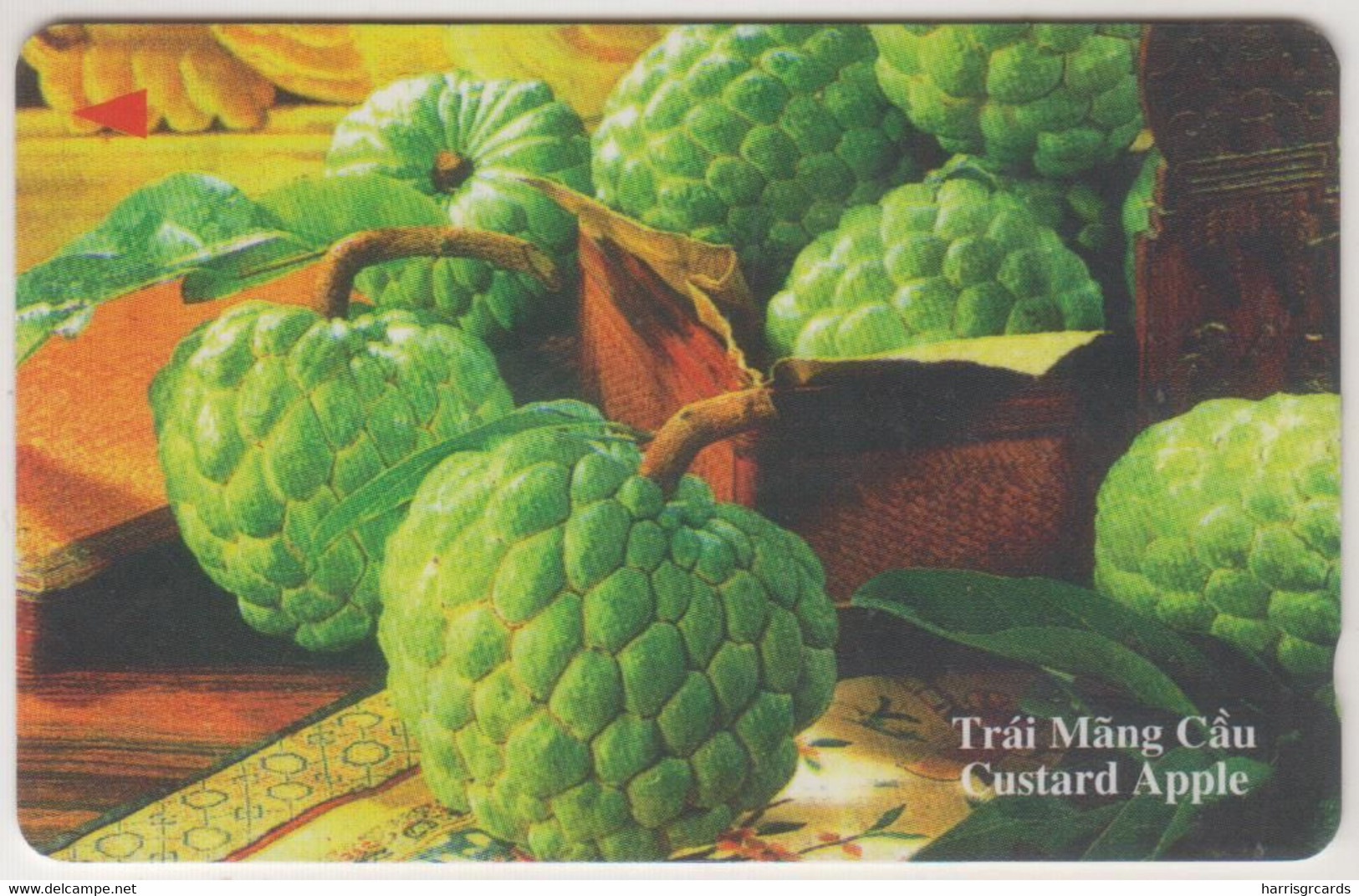 MACAU - Custard Apple, 04/98, CN:13UPVA ,Normal Zero: "0", Tirage 19.815, Used - Macao