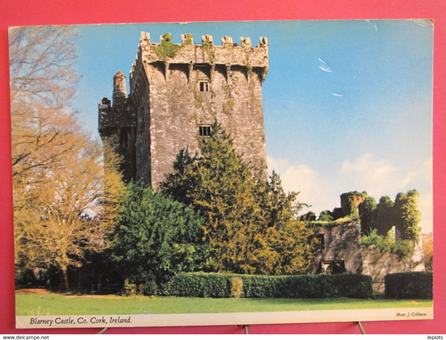 Irlande - Blarney Castle - Cork - R/verso - Cork