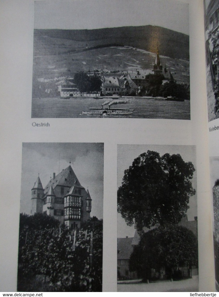 Der Mittelrhein - Ein Blick über Das Land Und Seine Kultur ... - 1929 - Ausg. In Mainz - Unclassified