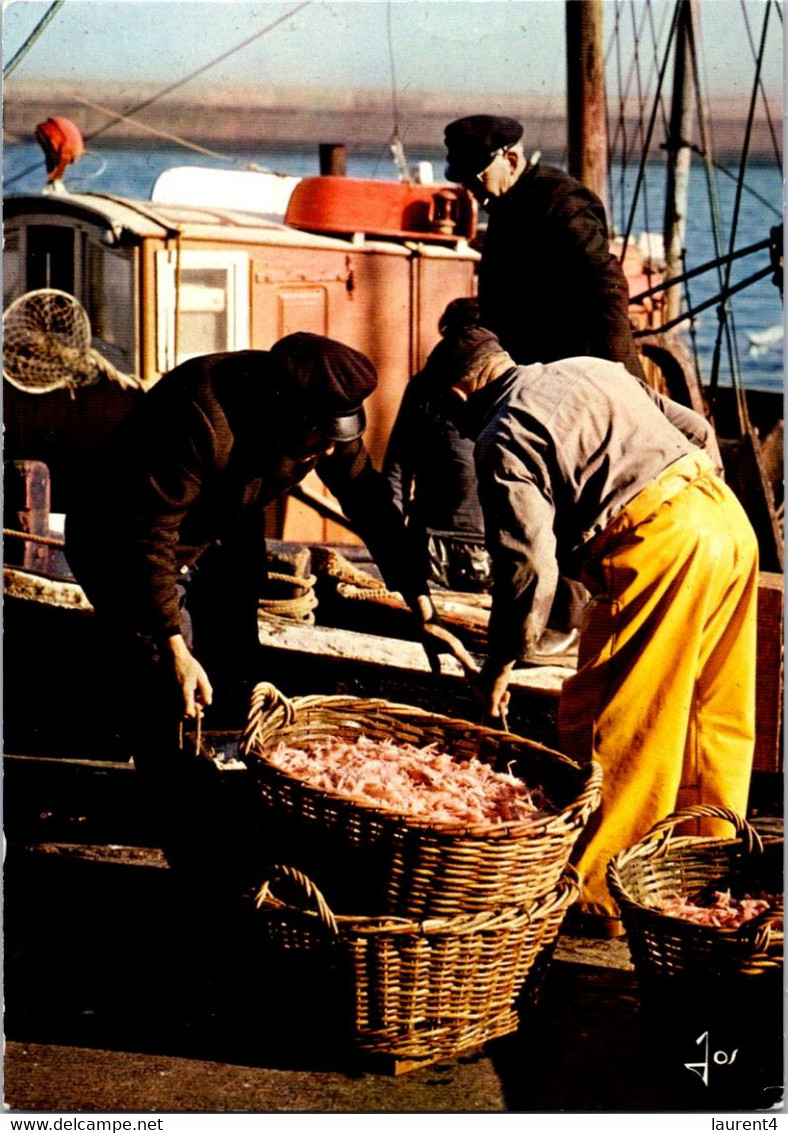 (2 M 35) France - Posted 1974 - Le Guilvinec - Lobster Fishing / Retour Des Langoustiers - Pêche