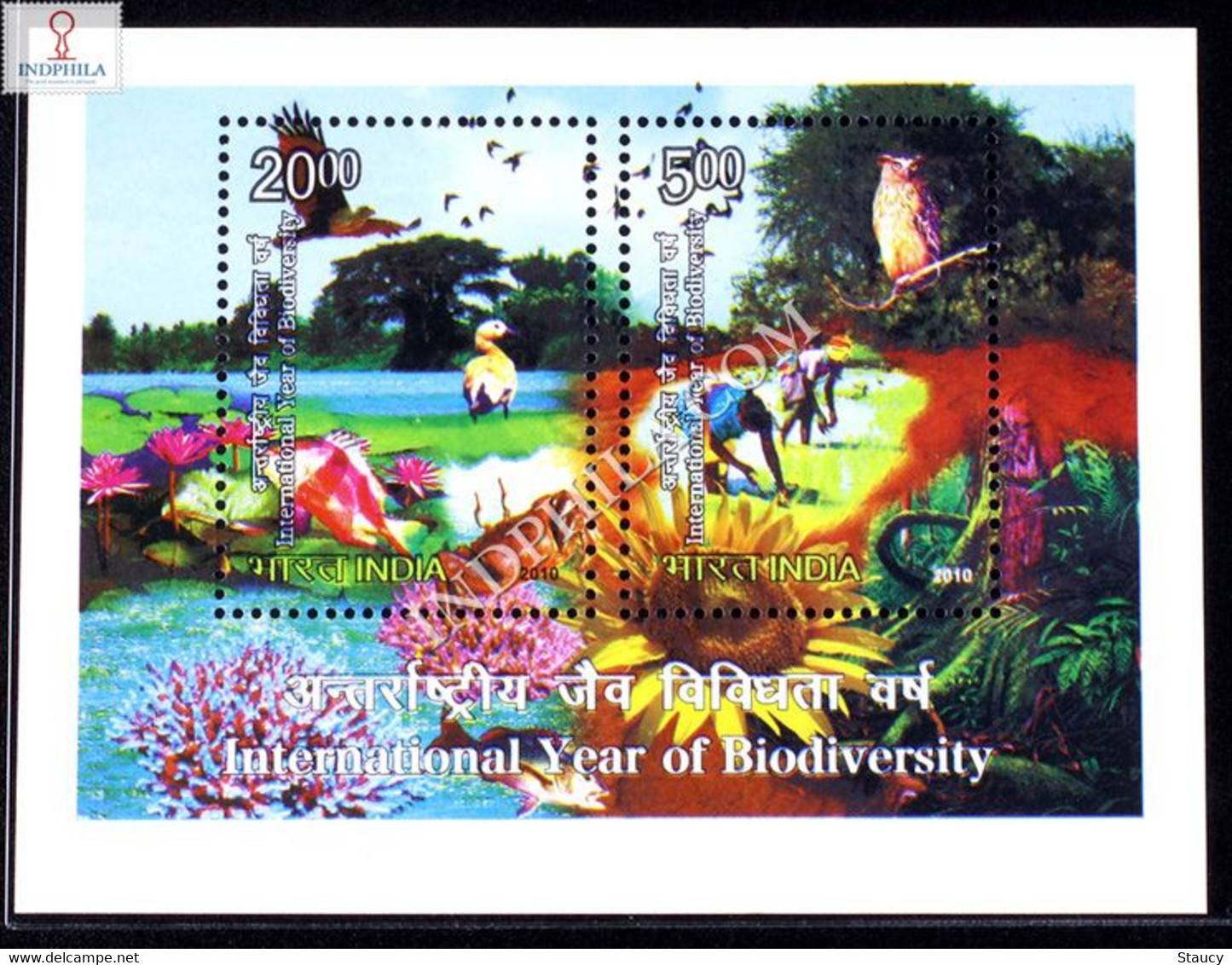 India 2010 INTERNATIONAL YEAR OF BIODIVERSITY MINIATURE SHEET MS MNH P. O Fresh & Fine, Rare - Sonstige & Ohne Zuordnung