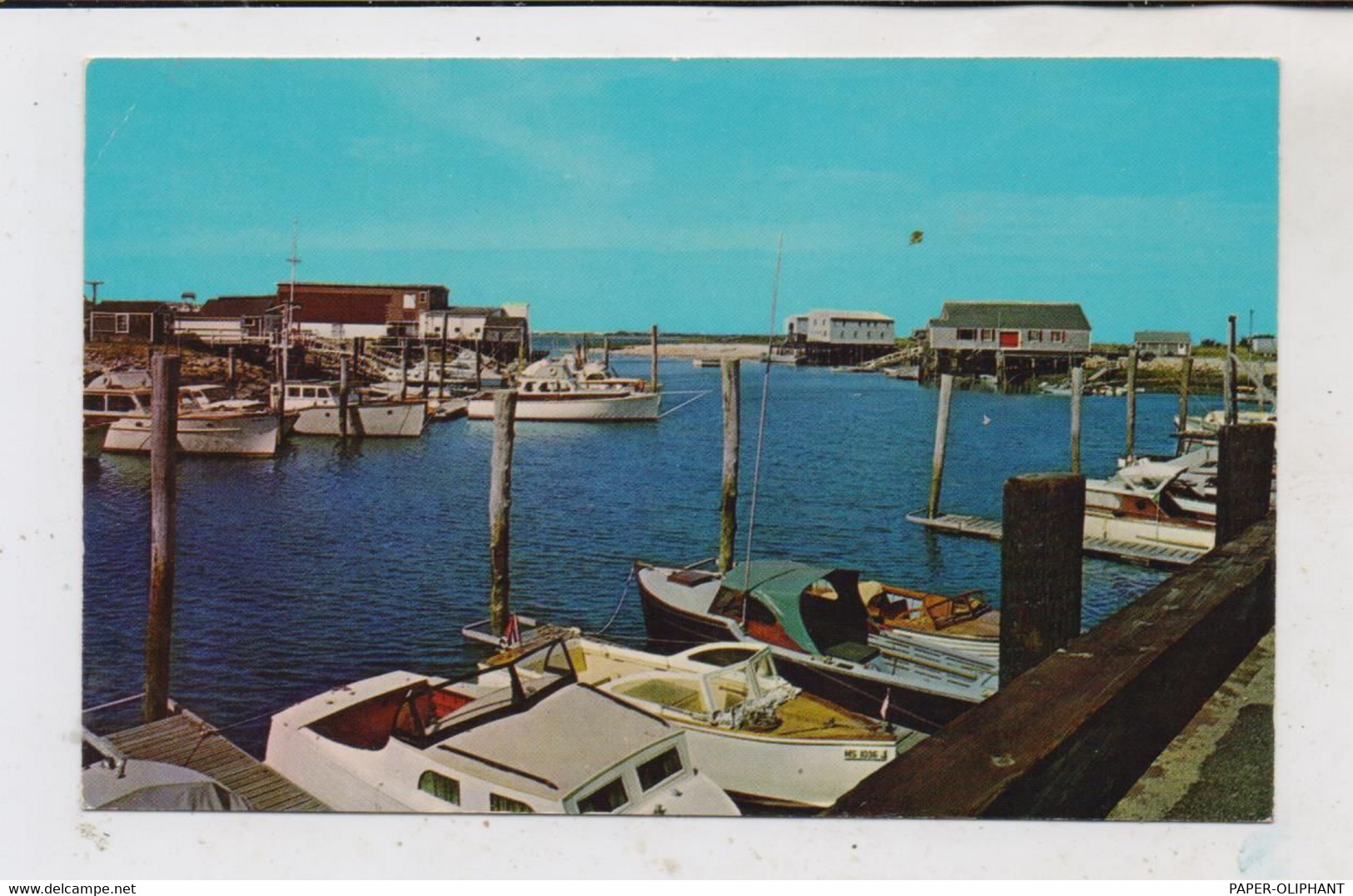 USA - MASSACHUSETTS - CAPE COD, Harbor Of Barnstable Village, Ed. Teich - Cape Cod