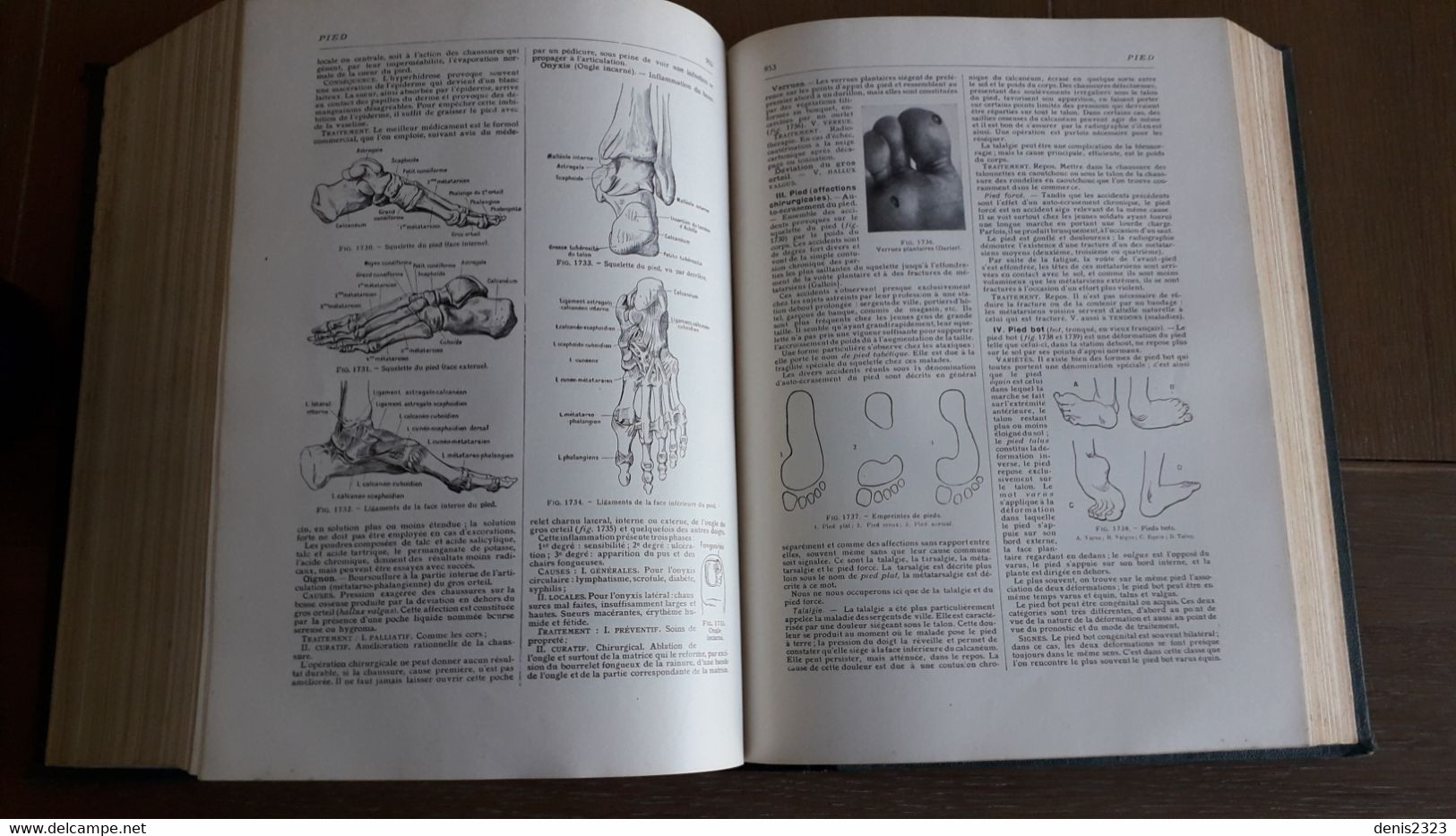 larousse médical illustré Galtier - Boissière