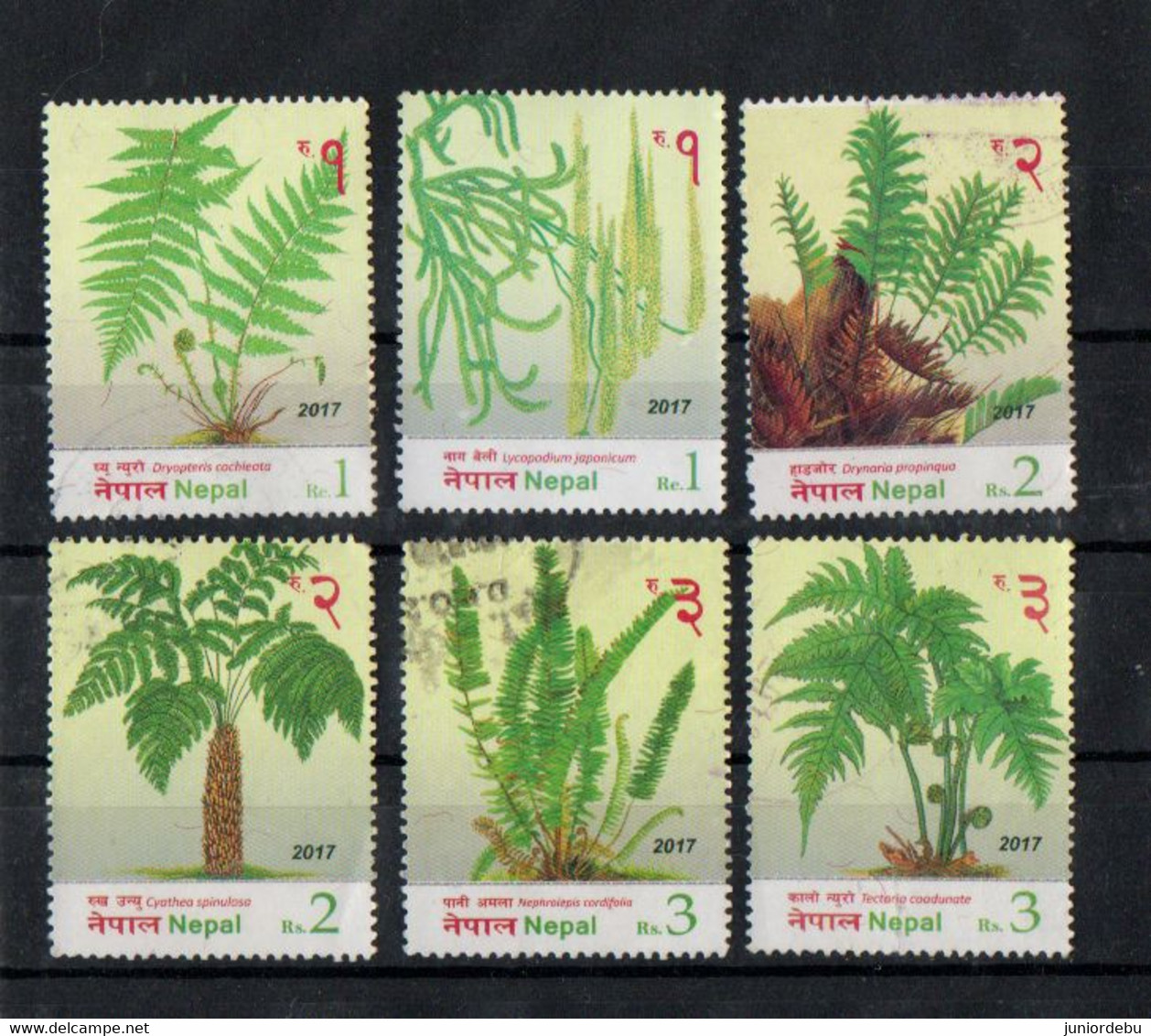 Nepal - 2017 - Flora - Ferns Of Nepal - Set - Used. ( Condition As Per Scan.) - Népal