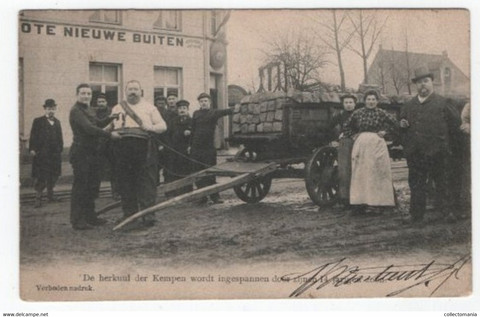 1 Oude Postkaart Wuustwezel  Café De Groote Nieuwe Buiten Weddenschap Sterke Peer Janssen.  1903 - Wuustwezel