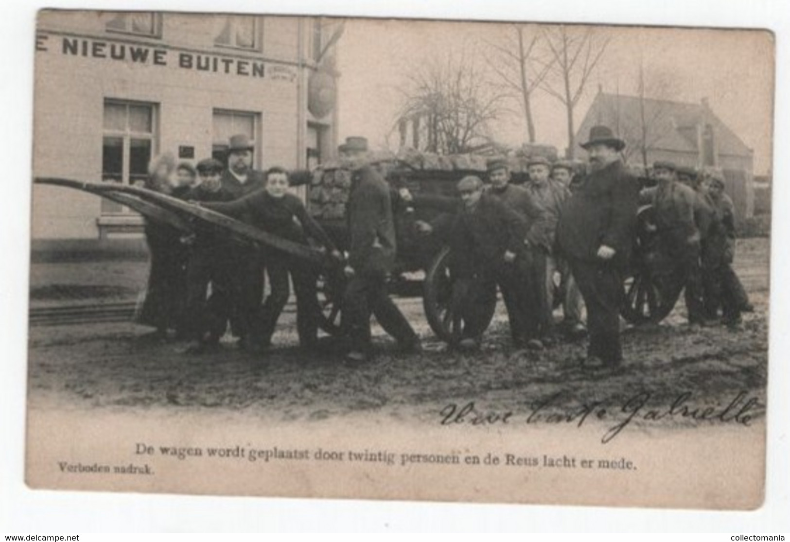 1 Oude Postkaart Wuustwezel  Café De Groote Nieuwe Buiten Weddenschap Sterke Peer Janssen.  1903 - Wuustwezel