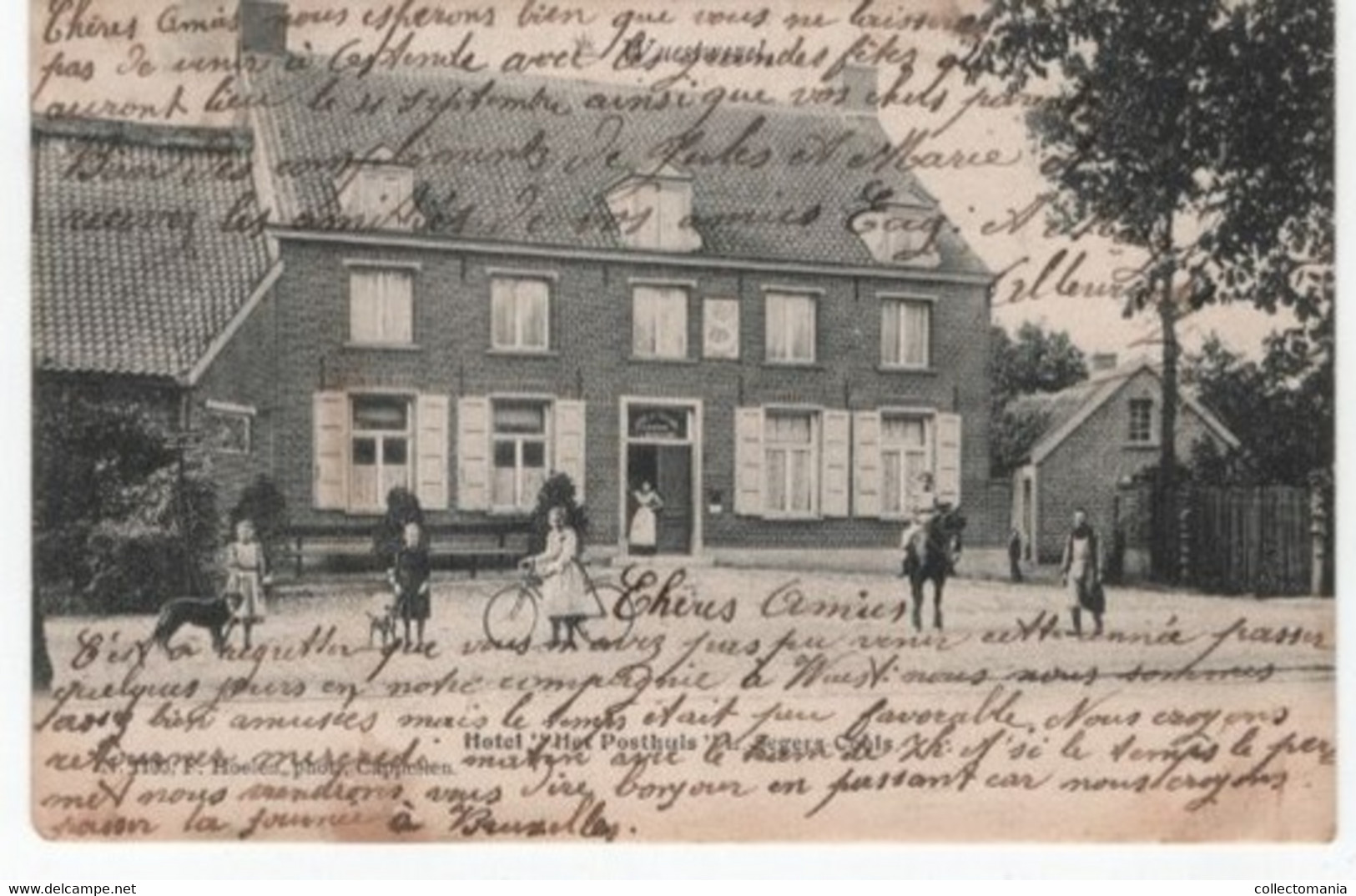 1 Oude Postkaart Wuustwezel Wuestwezel   Hotel Et Posthuis Segers-Cools  1905 - Wuustwezel