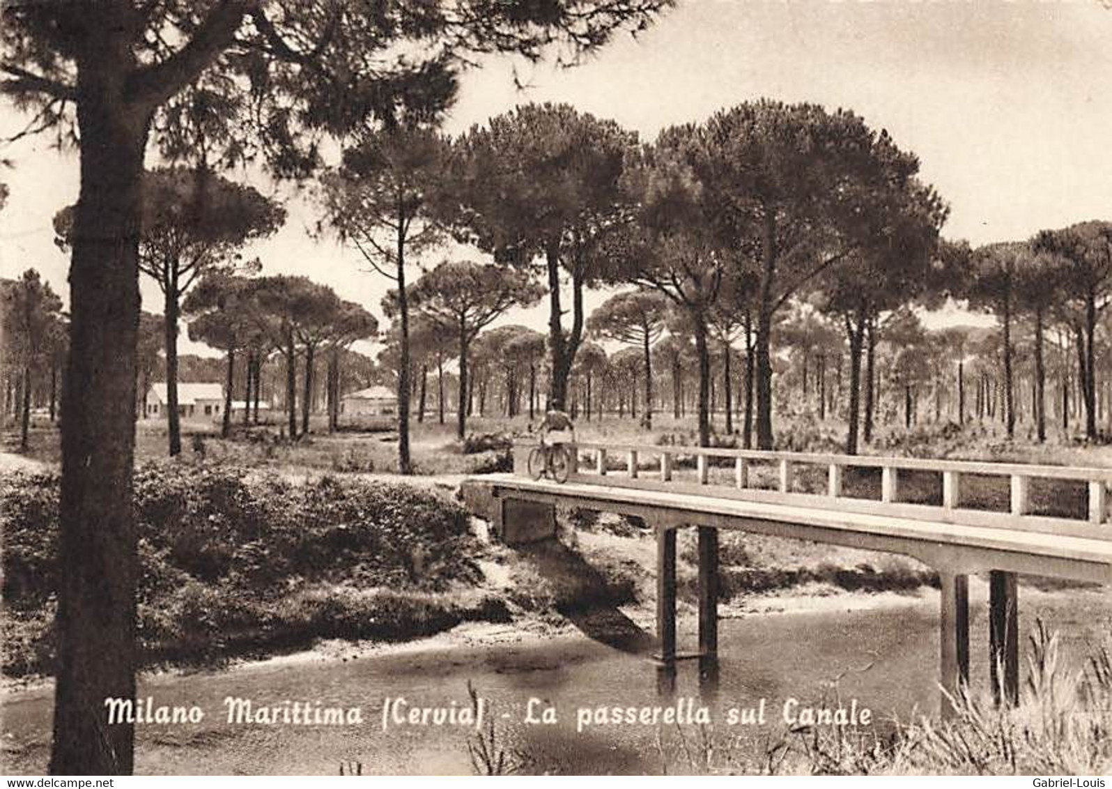 Milano Marittima ( Cervia) La Passerella Sul Canal  (10 X 15 Cm) - Ravenna