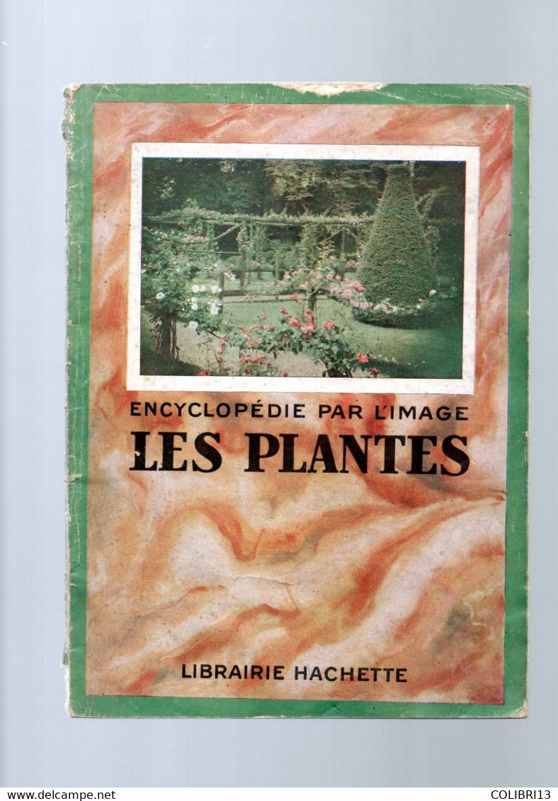 ENCYCLOPEDIE PAR L IMAGE LES PLANTES 1931  PRIMITIVES,VASCULAIRES,ANGIOSPERMES, MONO/DI COTYLEDONES - Encyclopédies