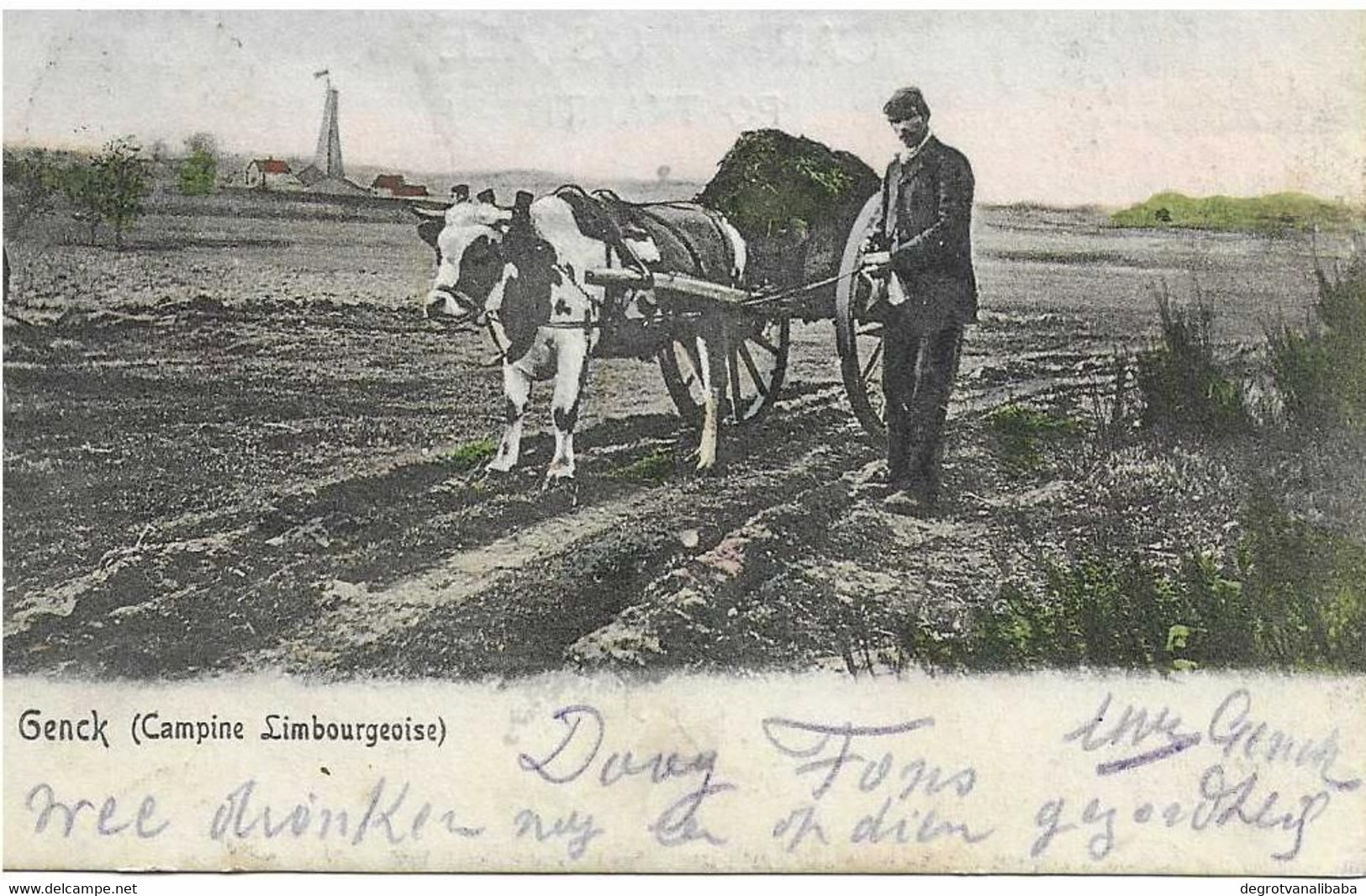 GENCK  Campine Limbourgeoise - Genk