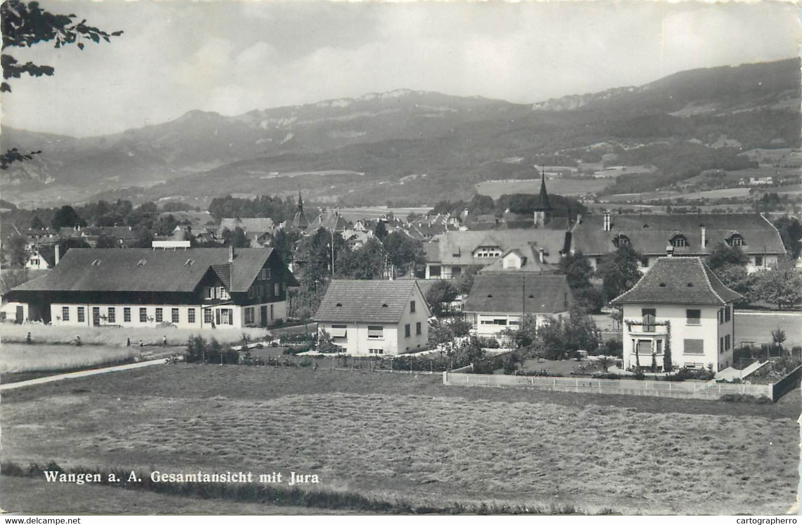 Switzerland Postcard Wangen And Jura Mountain 1940 - Wangen An Der Aare