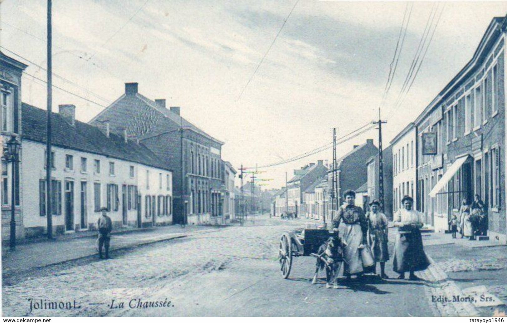 Jolimont  La Chaussée Attelage Avec Chiens Bien Animée Carte Bleue Voyagé En 1908 - La Louvière