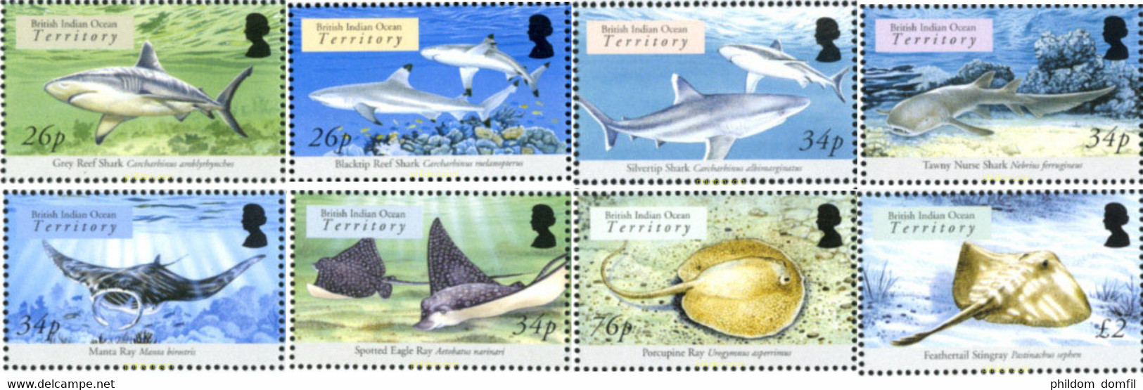 160062 MNH OCEANO INDICO BRITANICO 2005 FAUNA MARINA - Territoire Britannique De L'Océan Indien