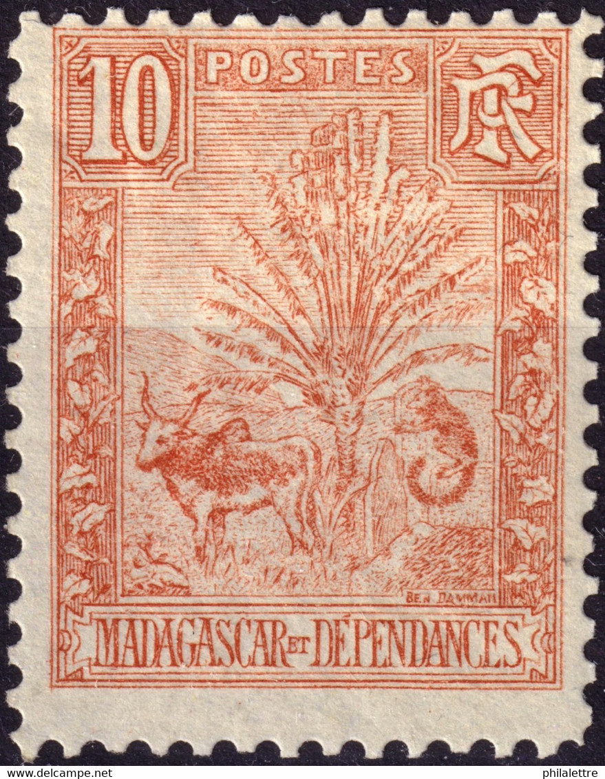 MADAGASCAR - 1903 - Yv.67 Type Ravenala 10c Rouge * - Voir Scans (c.17€) - Nuevos