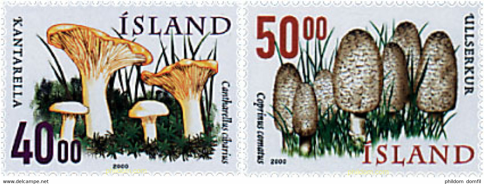 49219 MNH ISLANDIA 2000 SETAS - Collezioni & Lotti