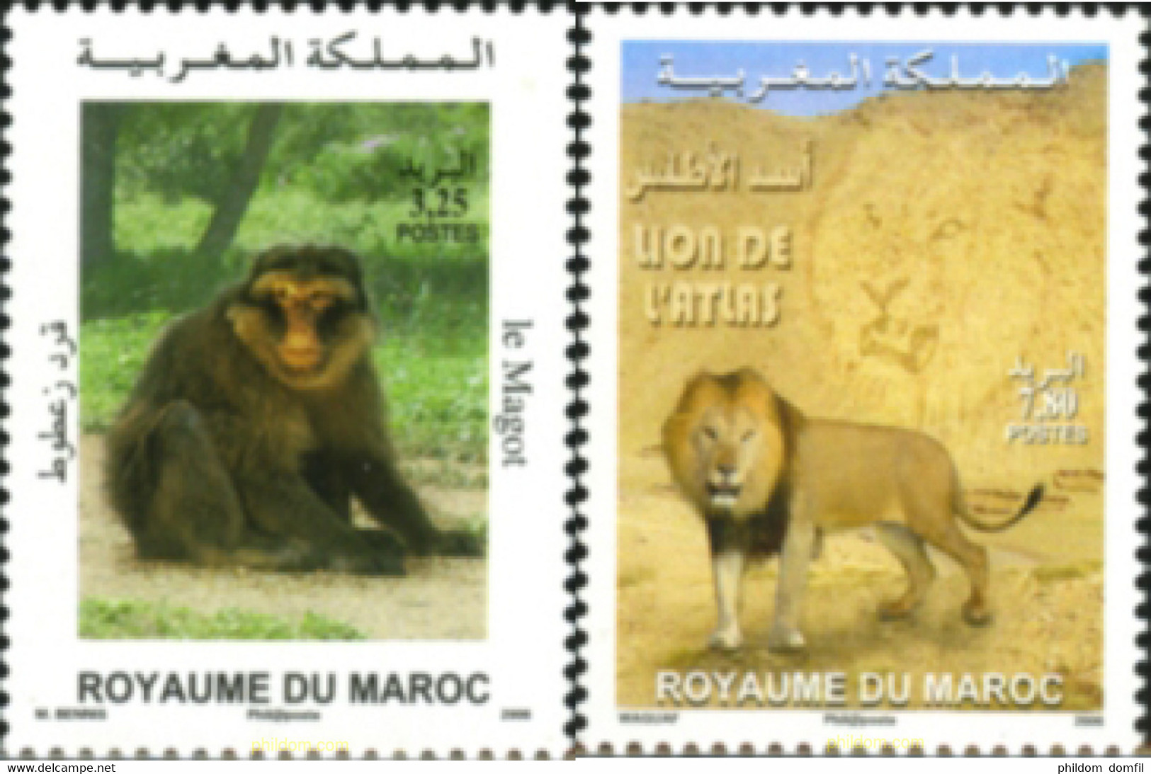 190062 MNH MARRUECOS 2006 FAUNA - Scimpanzé