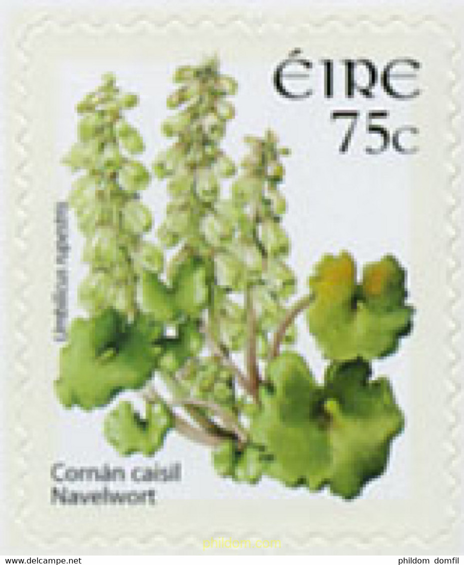 190024 MNH IRLANDA 2006 FLOR - Collections, Lots & Séries