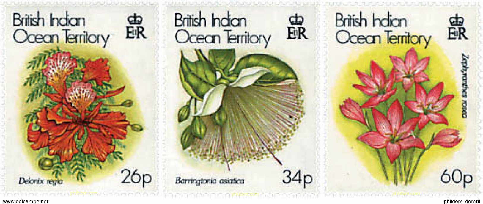 94404 MNH OCEANO INDICO BRITANICO 2000 NAVIDAD. FLORES - Territorio Britannico Dell'Oceano Indiano