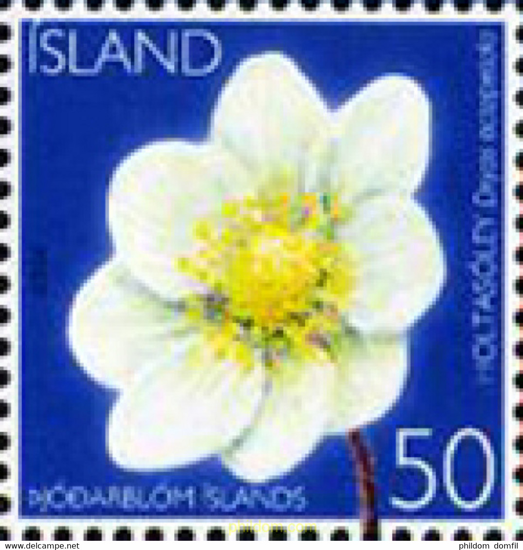 188495 MNH ISLANDIA 2006 FLOR - Lots & Serien