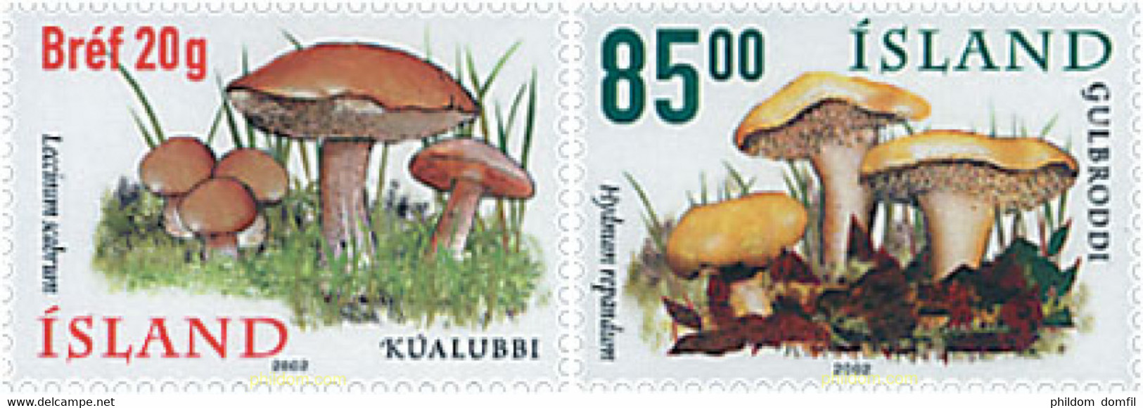 87246 MNH ISLANDIA 2002 SETAS - Collezioni & Lotti