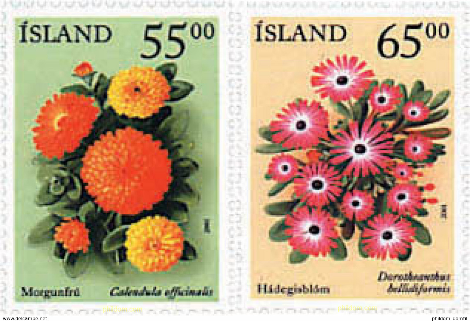 90738 MNH ISLANDIA 2001 FLORES - Collezioni & Lotti