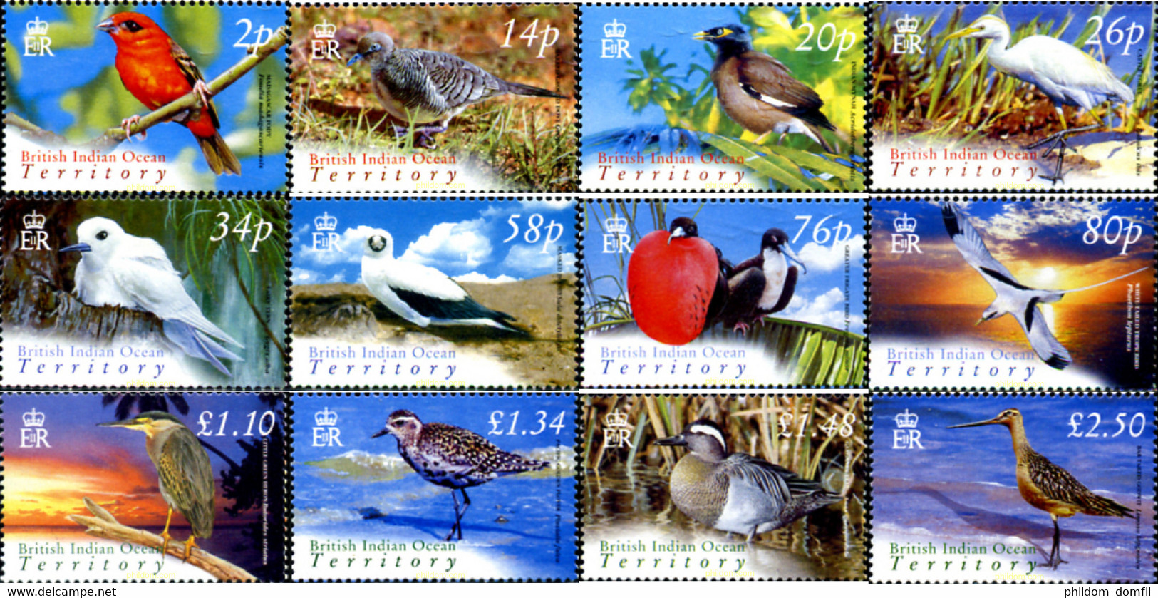 149515 MNH OCEANO INDICO BRITANICO 2004 AVES - Territoire Britannique De L'Océan Indien