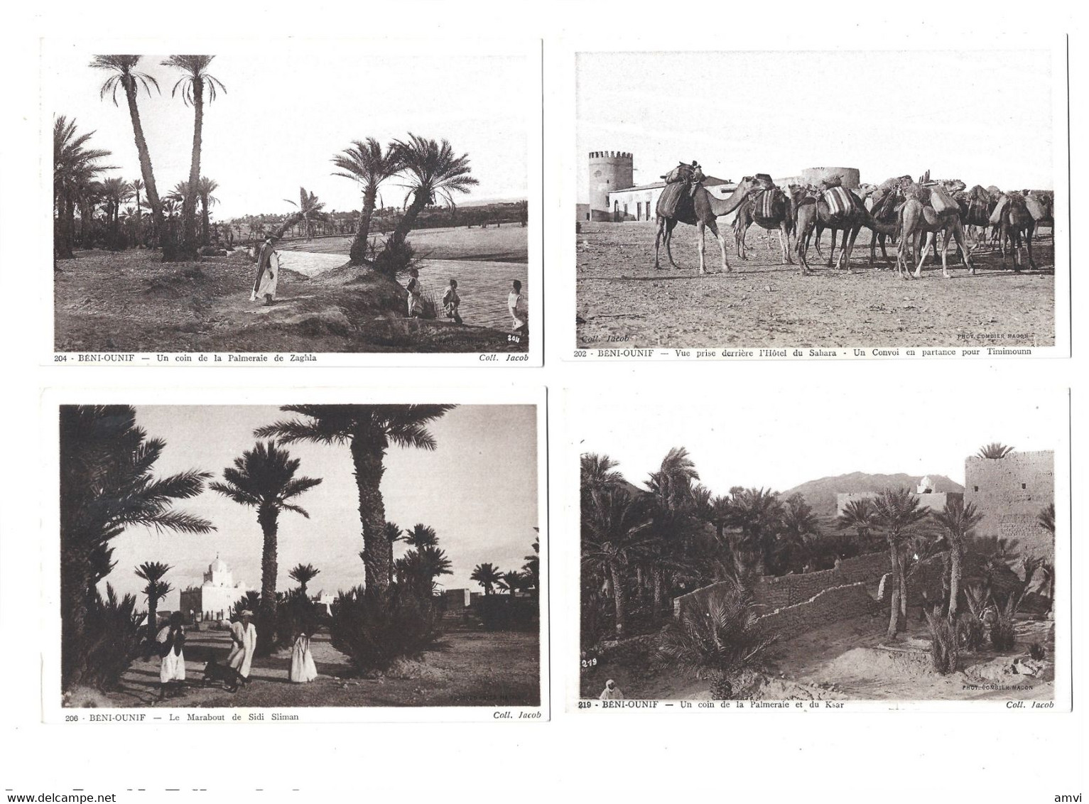 22-11-3345 Algérie Lot De 5 Cartes BENI OUNIF - Autres & Non Classés