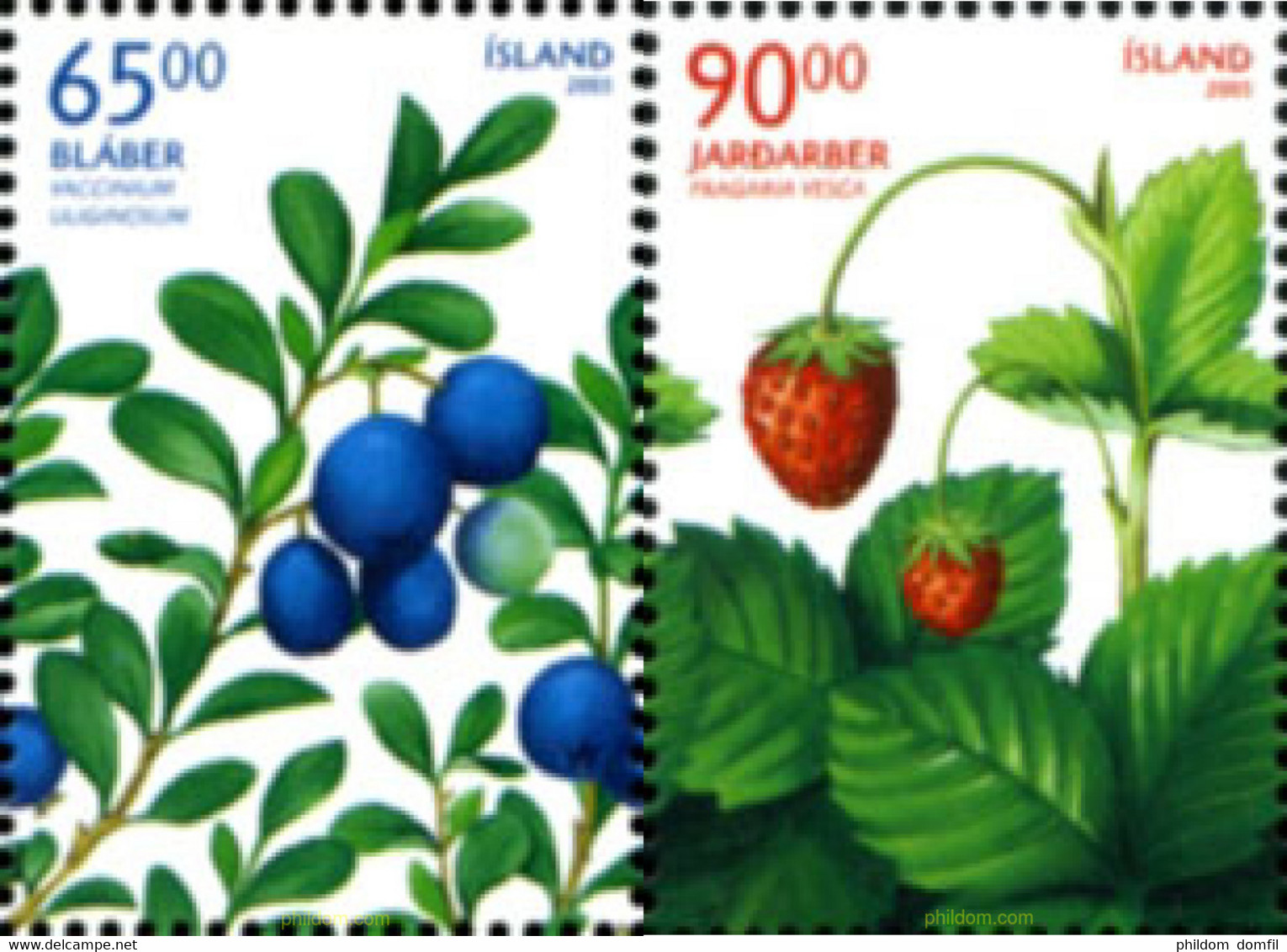 185007 MNH ISLANDIA 2005 FRUTOS SILVESTRES - Colecciones & Series