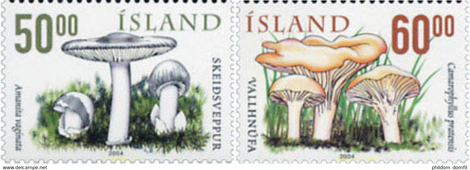 153266 MNH ISLANDIA 2004 SETAS - Collections, Lots & Series