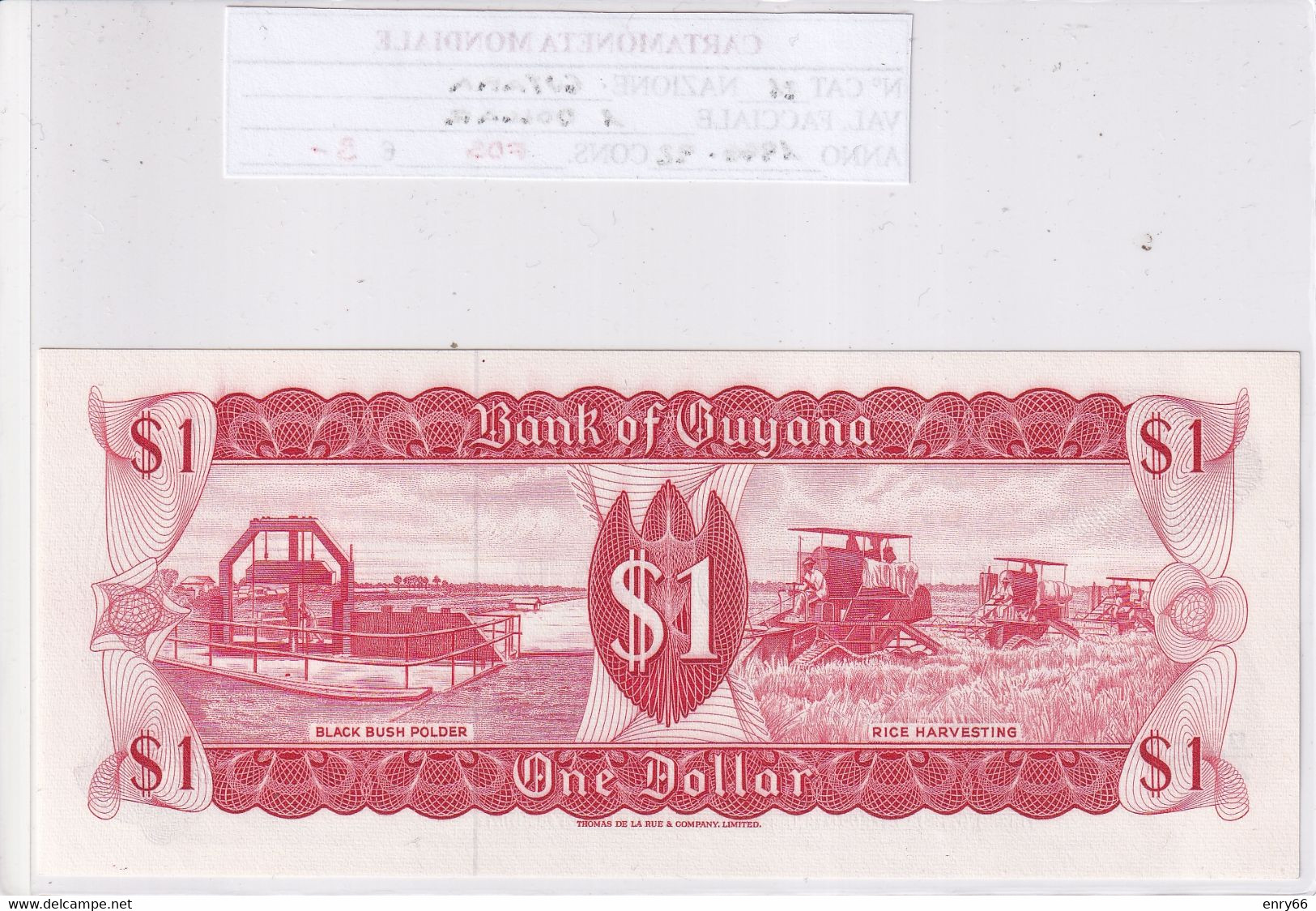 GUYANA 1 DOLLAR 1966-92 P21 - Guyana