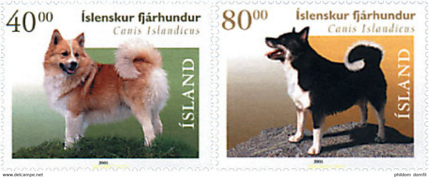 81273 MNH ISLANDIA 2001 PERROS - Collezioni & Lotti