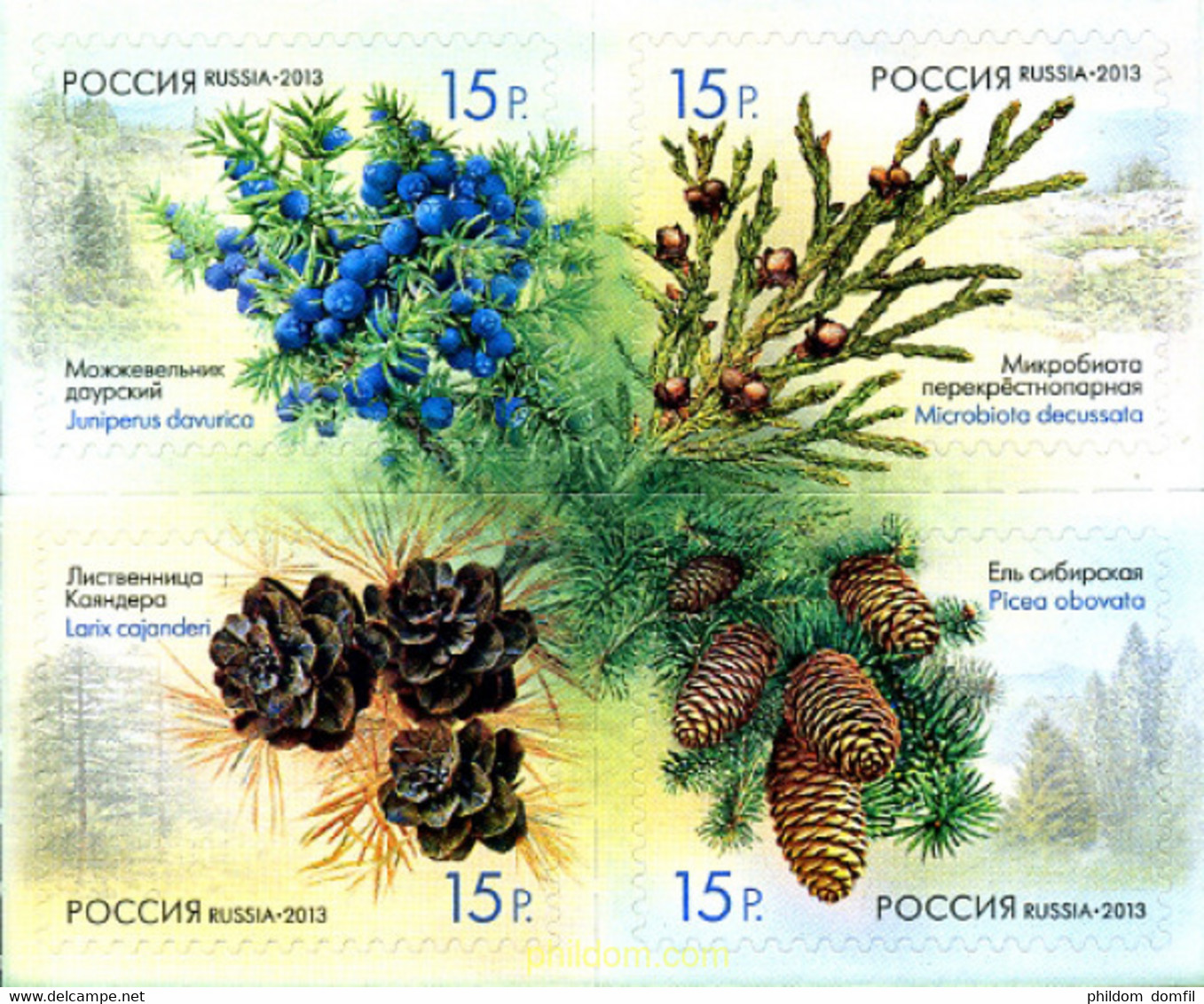 308358 MNH RUSIA 2013 FRUTOS DEL BOSQUE - Usados