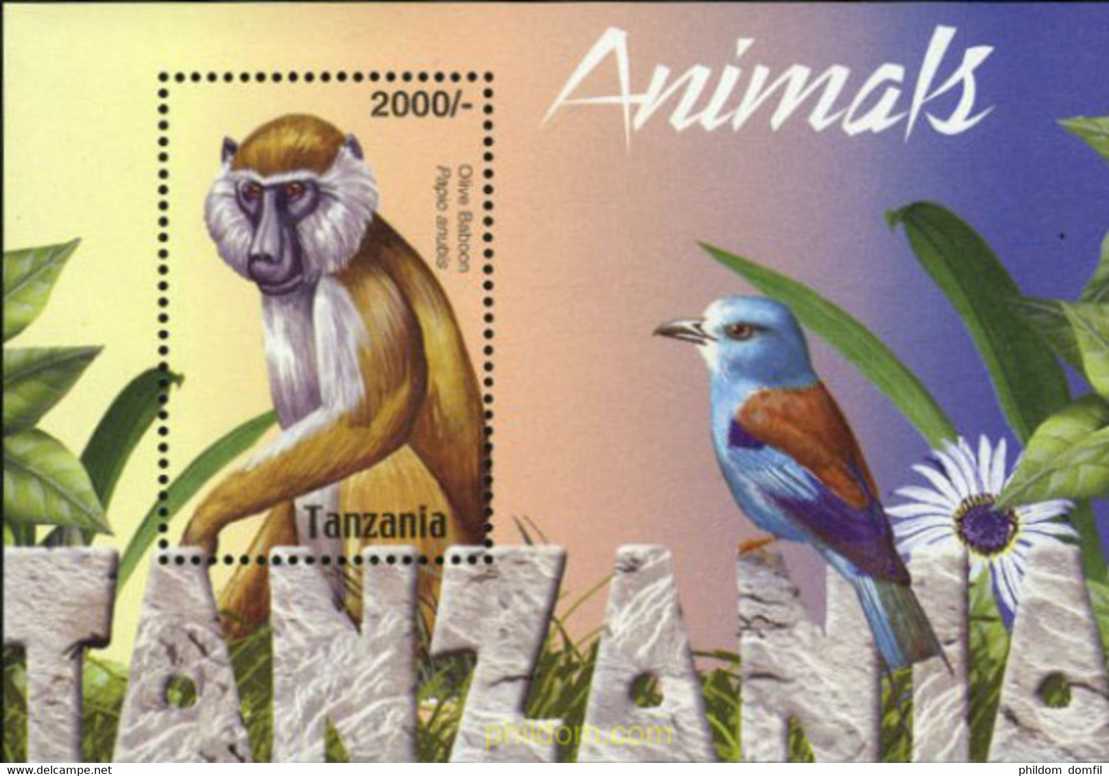 178692 MNH TANZANIA 2004 FAUNA - Chimpancés