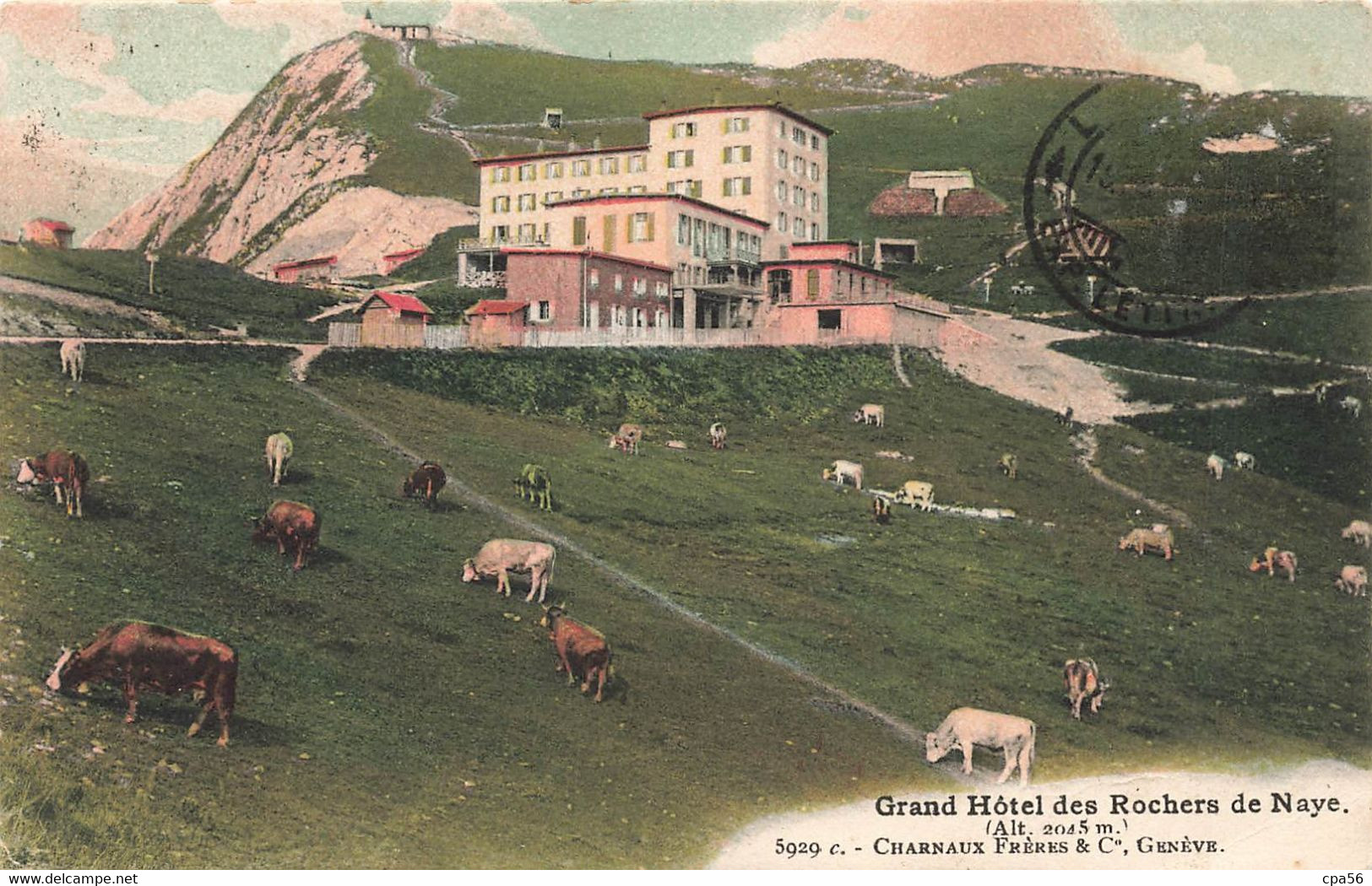 Carte Ancienne SUISSE Colorisée Grand HOTEL Des Rochers De NAYE - 1907 - Des Vaches - Roche