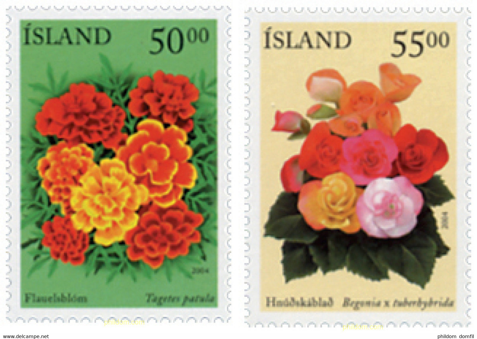 142941 MNH ISLANDIA 2004 FLORA - Verzamelingen & Reeksen