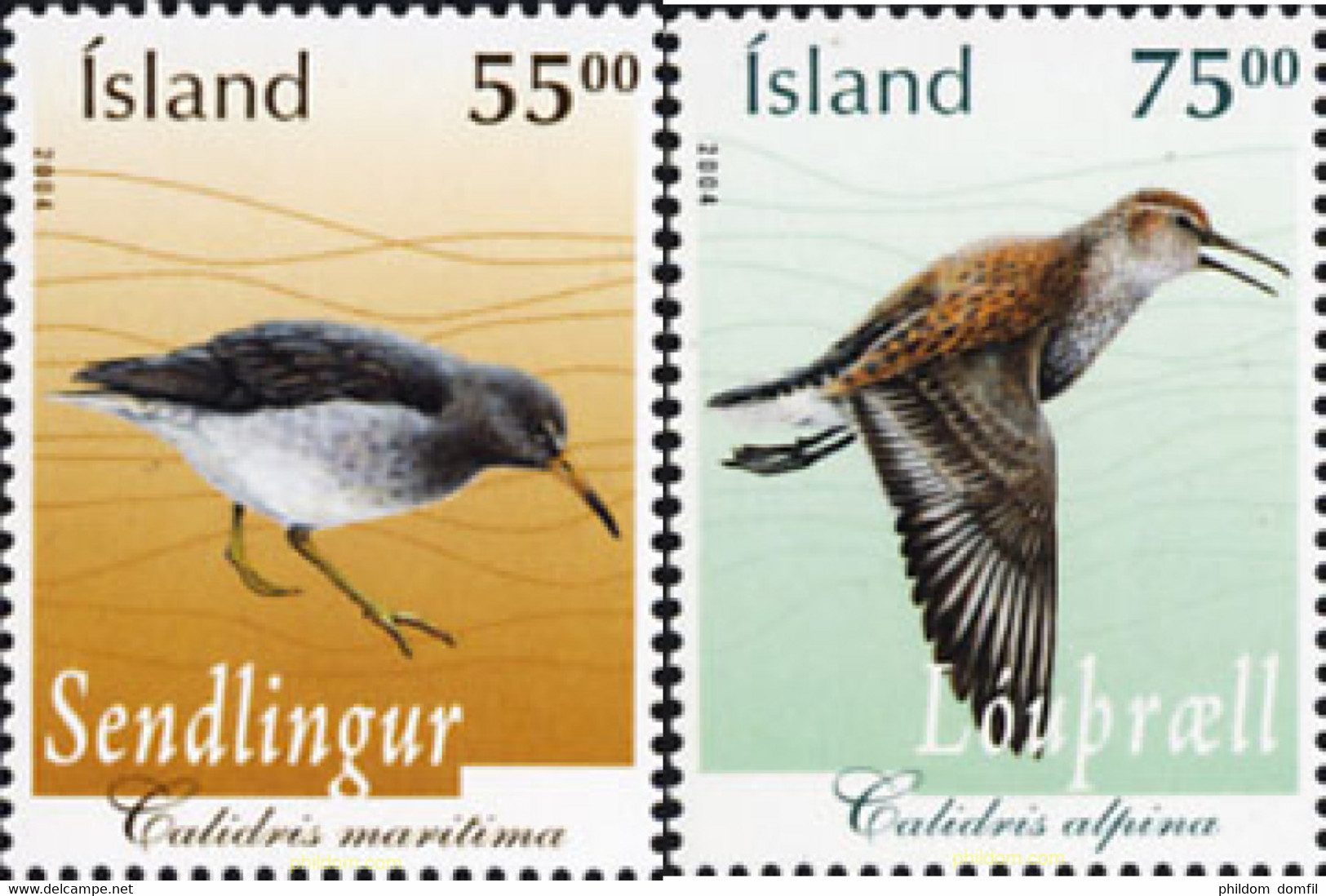 157843 MNH ISLANDIA 2004 PAJARO - Collections, Lots & Séries