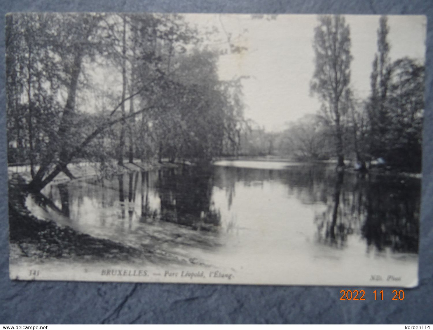 PARC LEOPOLD  L'ETANG - Forêts, Parcs, Jardins