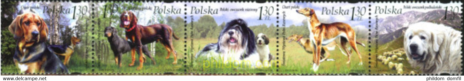 197138 MNH POLONIA 2006 PERROS - Ohne Zuordnung