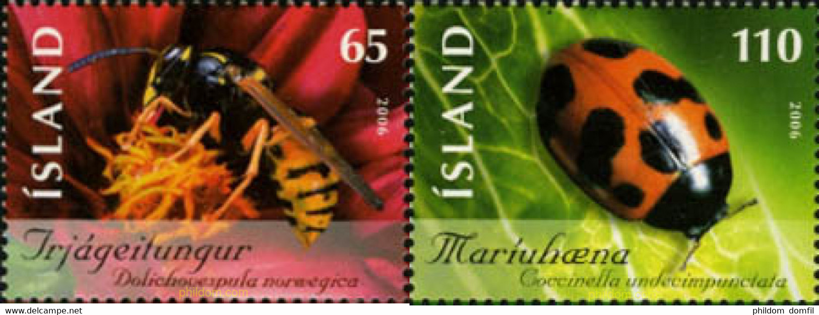 193583 MNH ISLANDIA 2006 INSECTOS - Collections, Lots & Series