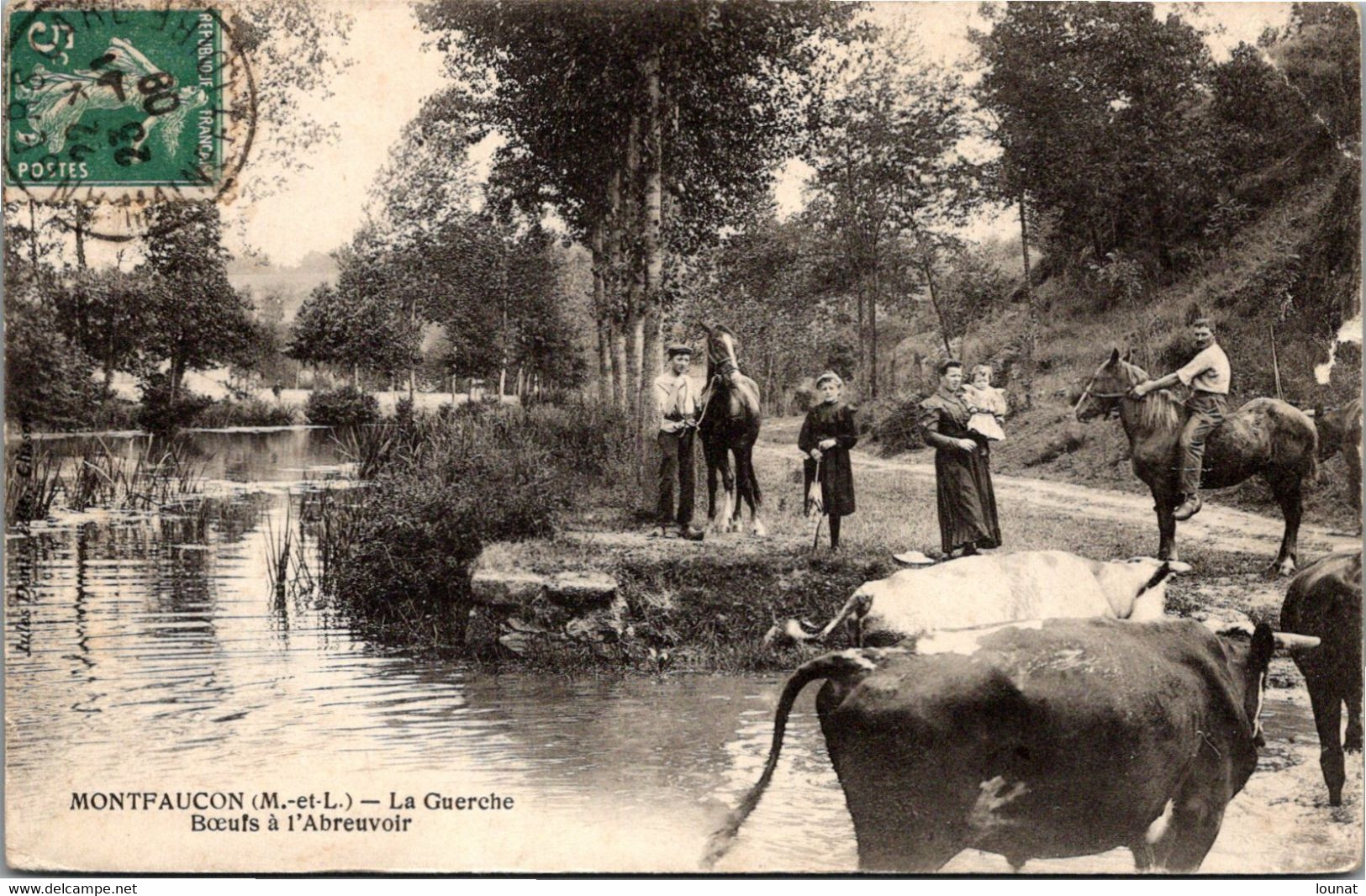 49 MONTFAUCON - La Guerche - Boeufs à L'abreuvoir - Montfaucon