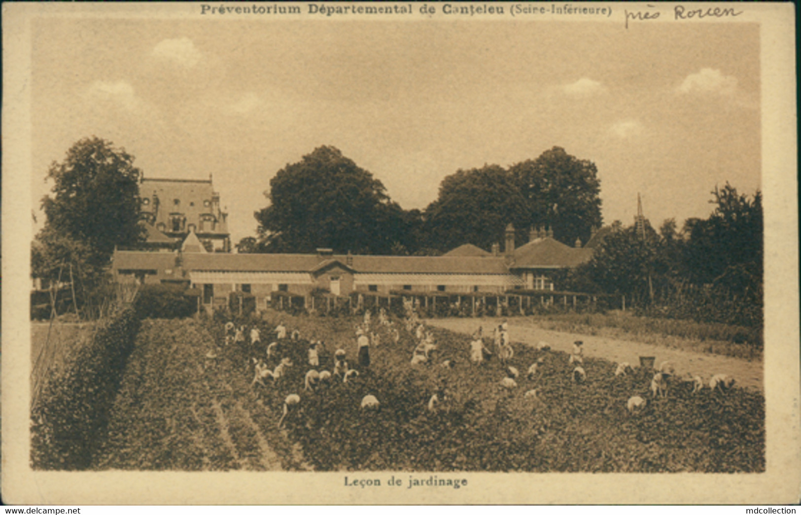 76 CANTELEU / Préventorium - Leçon De Jardinage / - Canteleu