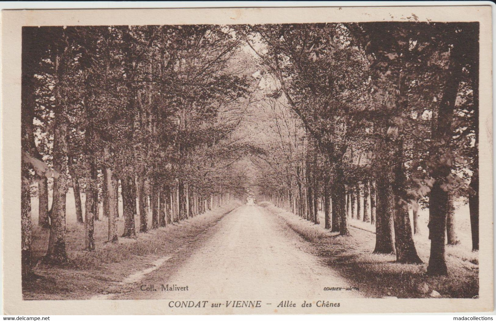 Condat (87 - Haute Vienne)  Allée Des Chênes - Condat Sur Vienne