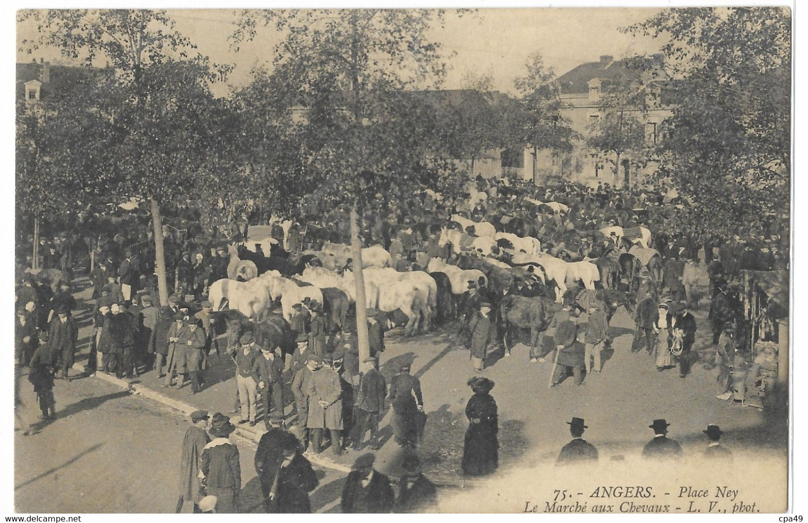 49    ANGERS  PLACE  NEY  LE  MARCHE  AUX  CHEVAUX - Angers