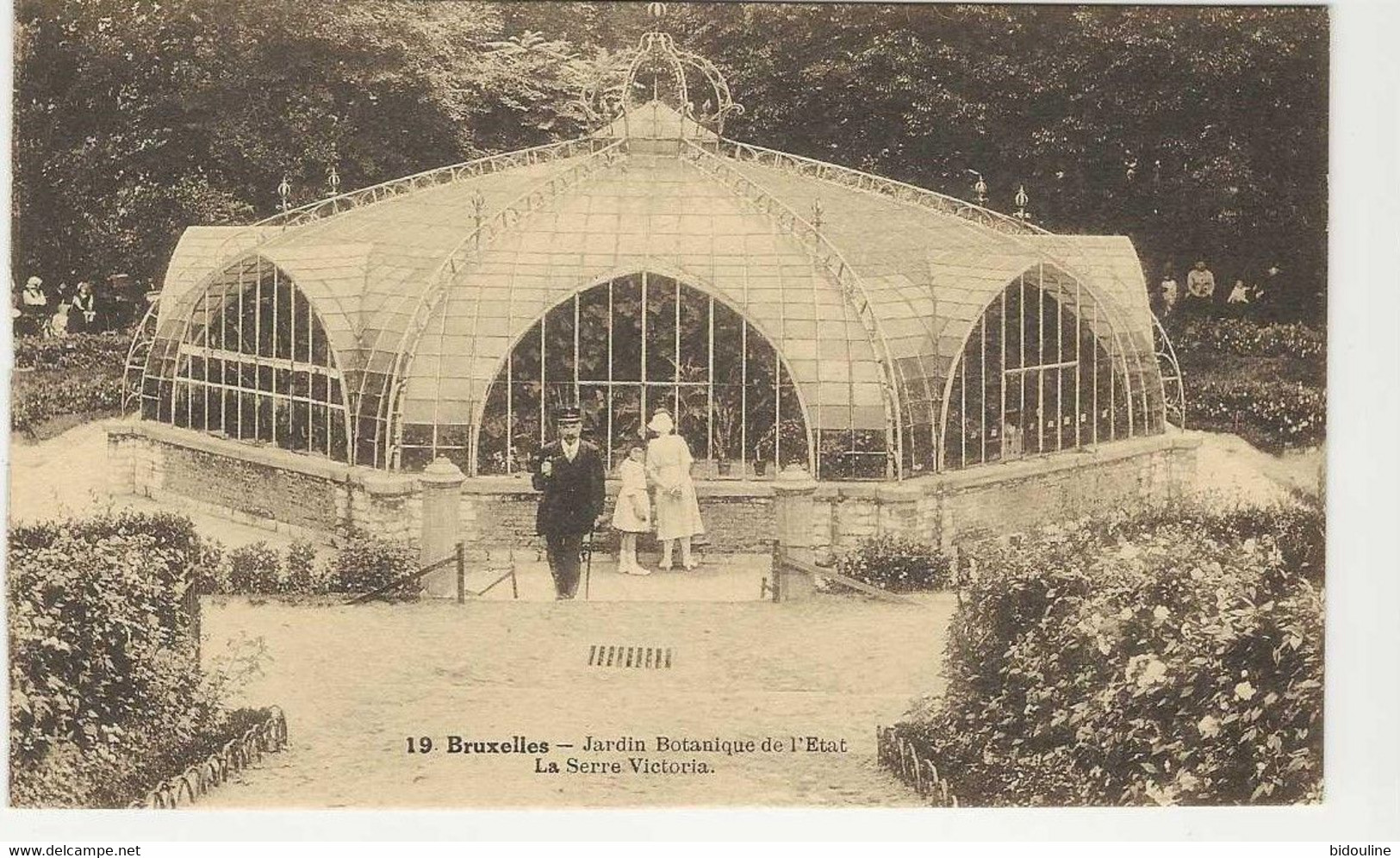 CPA-BRUXELLES " Jardin Botanique De L'Etat-la Serre Victoria " - Bossen, Parken, Tuinen